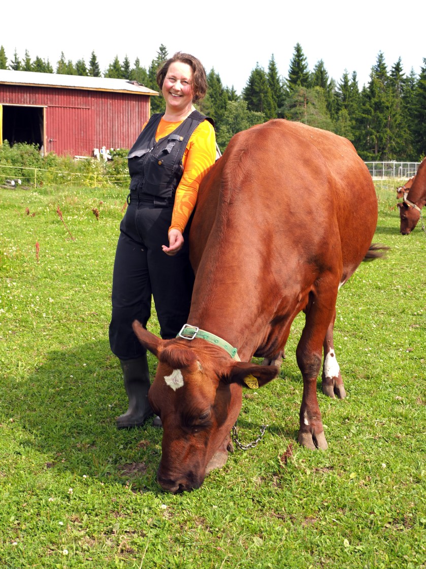 Maanviljelijä Mari Kalliomäki laitumella lehmän seurassa.