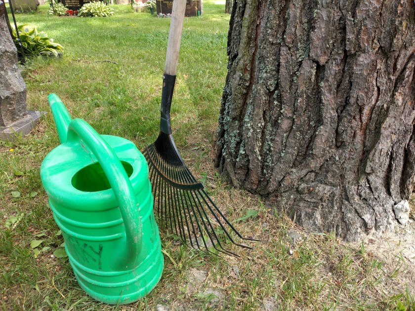 Kastelukannu ja lehtiharava puun juurella. 